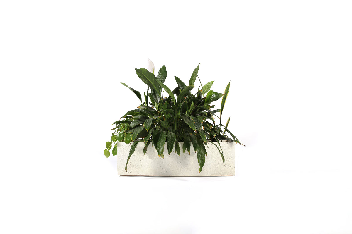 handmade concrete planter